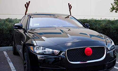 Reindeer Antlers & Nose Christmas Decorations C42762