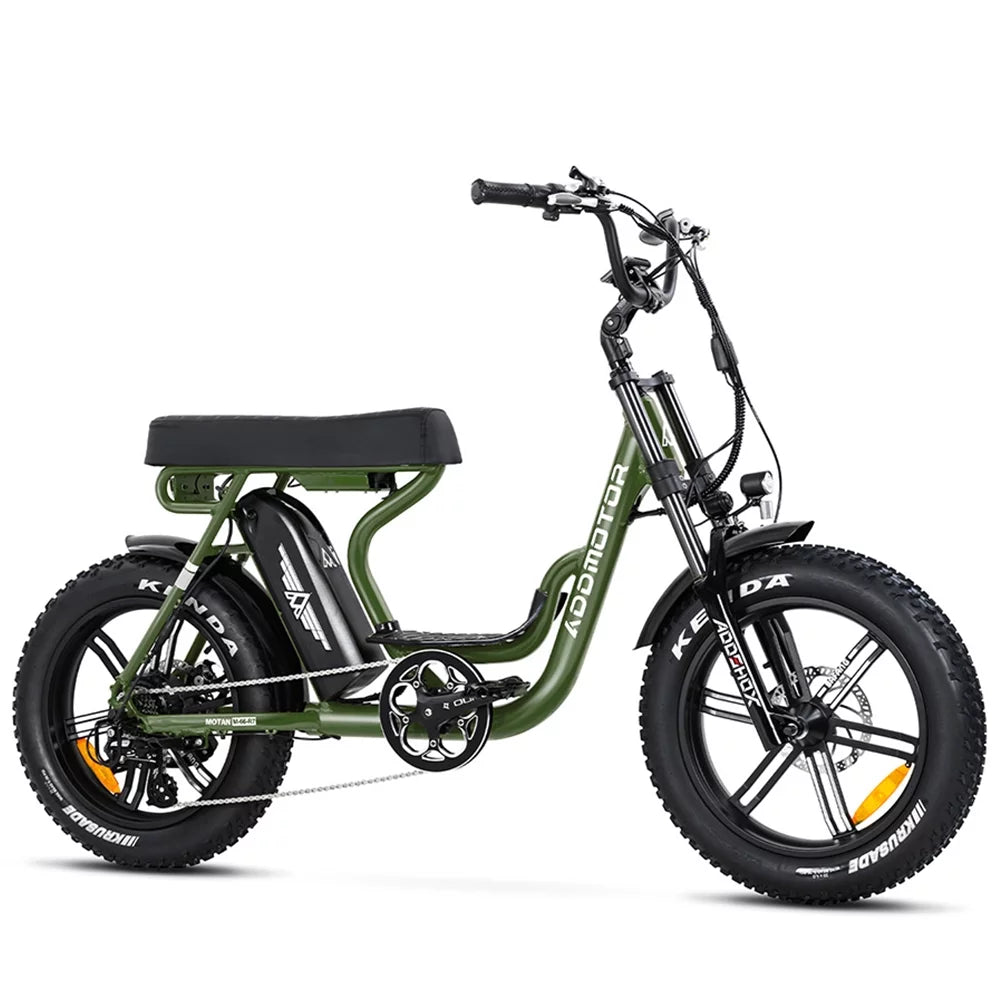 Fat Tire Step Through 750W 48V 20Ah Electric Bike T695