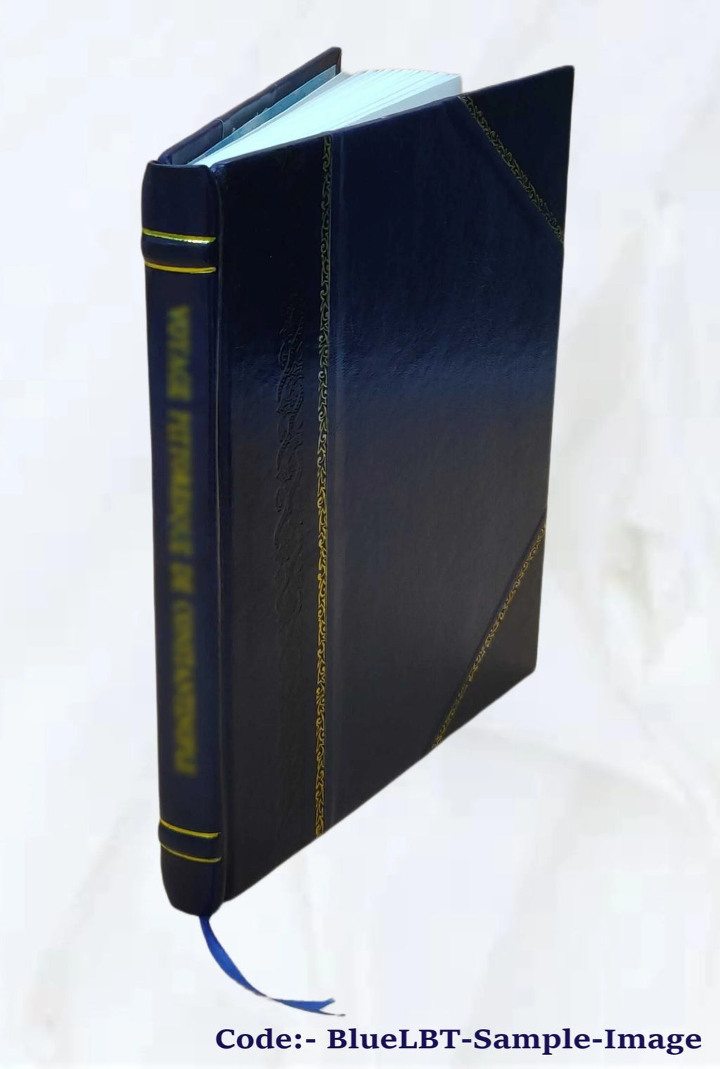 Beach Tent Poems 1867 Leather Bound Y2619