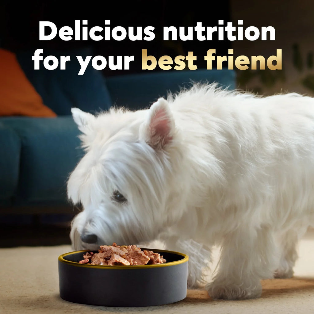 Steak and Chicken Wet Dog Food Variety Pack, 3.5 oz Trays (36 Pack) T707661