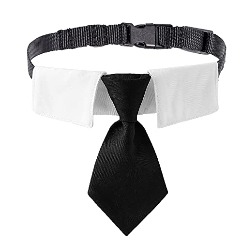 Black Adjustable Dog Collar with Bow Tie O16511