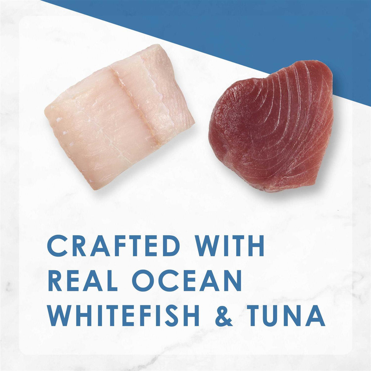 Ocean Whitefish & Tuna Wet Cat Food B118190