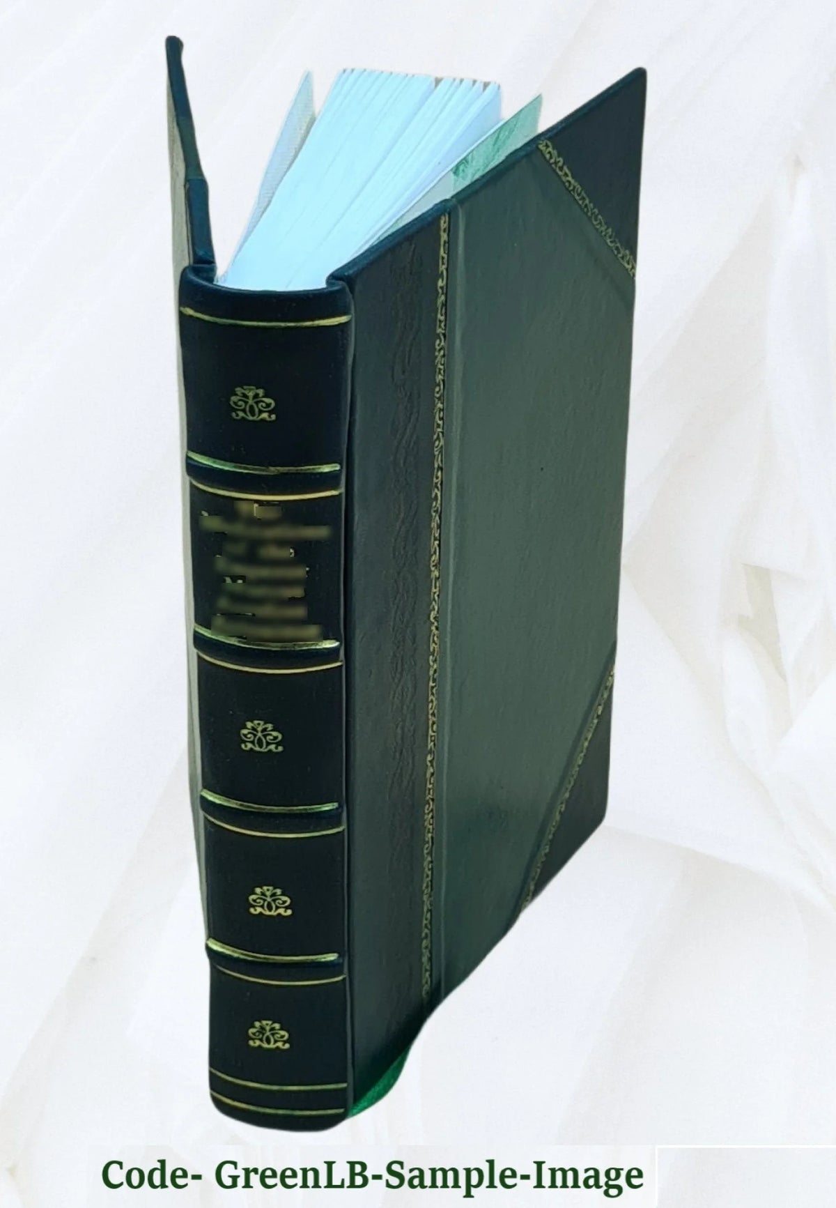 Renaissance et Réforme: Érasmus, Thomas Morus-Mélanchthon Volume 2 1877 [Leather Bound] K99291