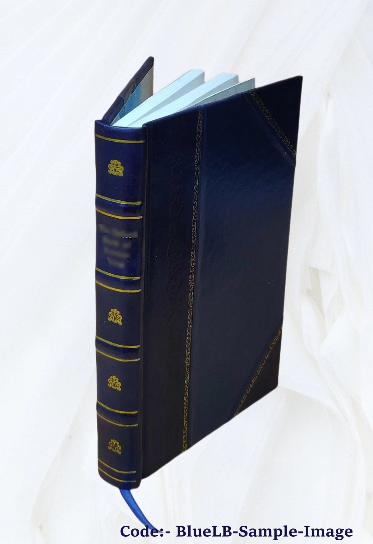 Vita del beato Toribio Alfonso Mogroboesio N613694