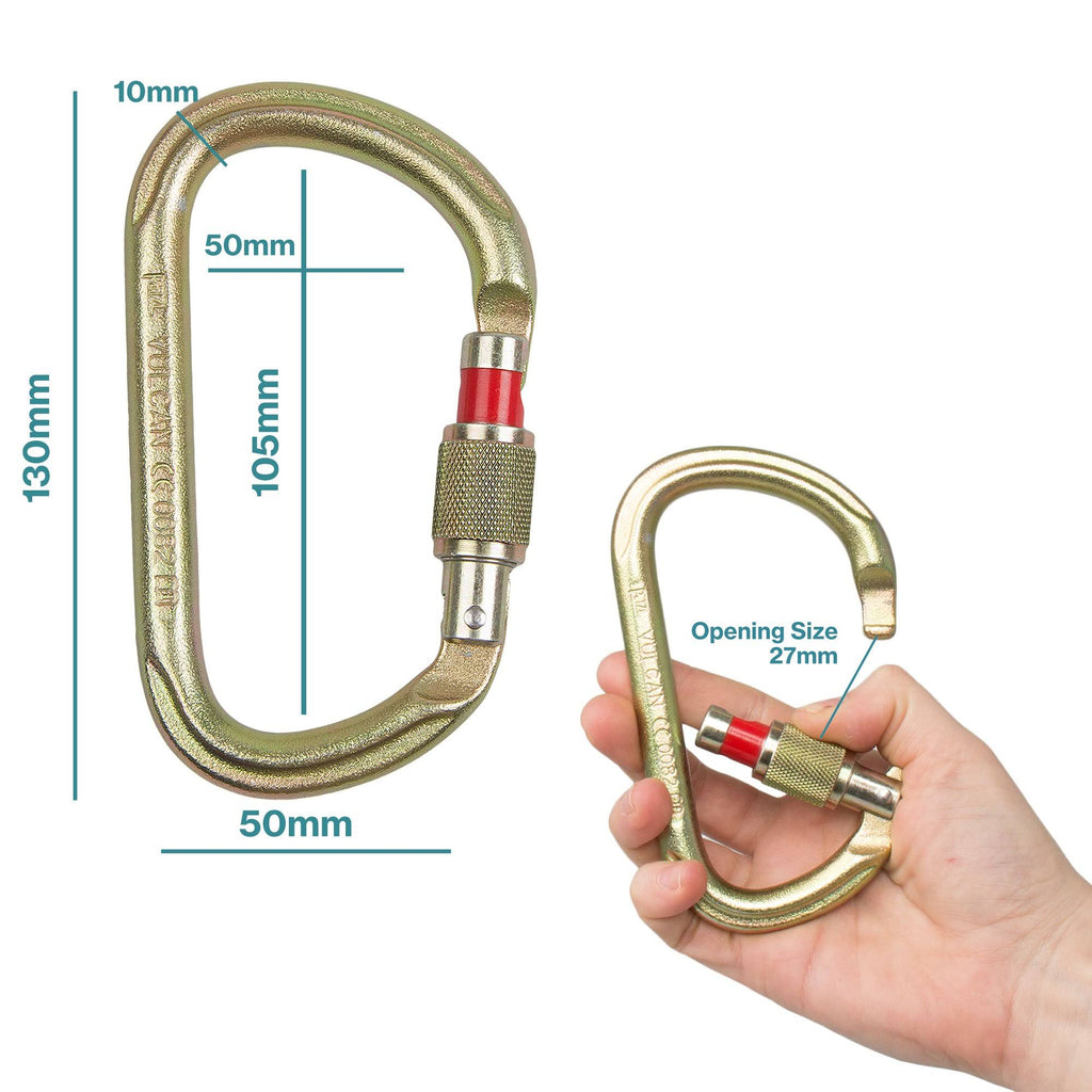 Screw Lock Carabiner I84920