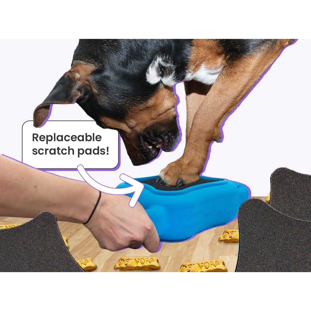 Dog & Cat Grooming Toy Z746757