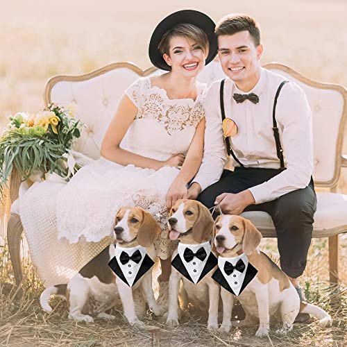 Black Adjustable Dog Collar with Bow Tie O16511
