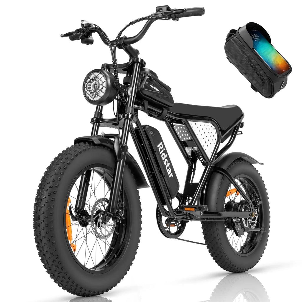 20 Fat Tire 1000W Electric Bike with Removable 48V/20Ah Battery C844280
