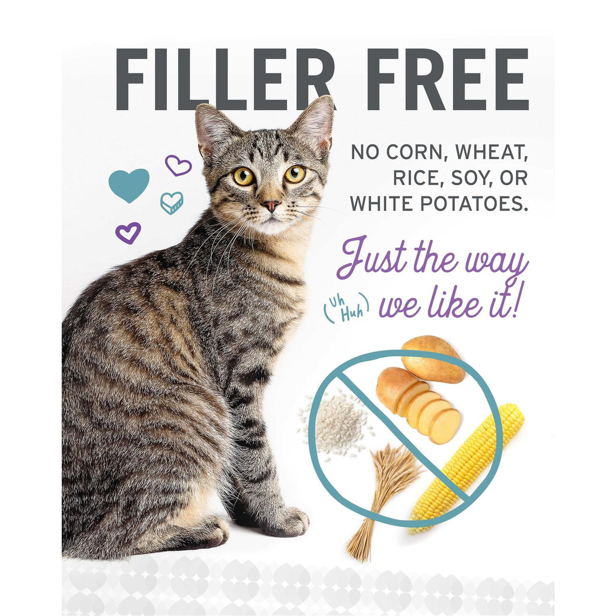 Grain Free Canned Cat Food V816818