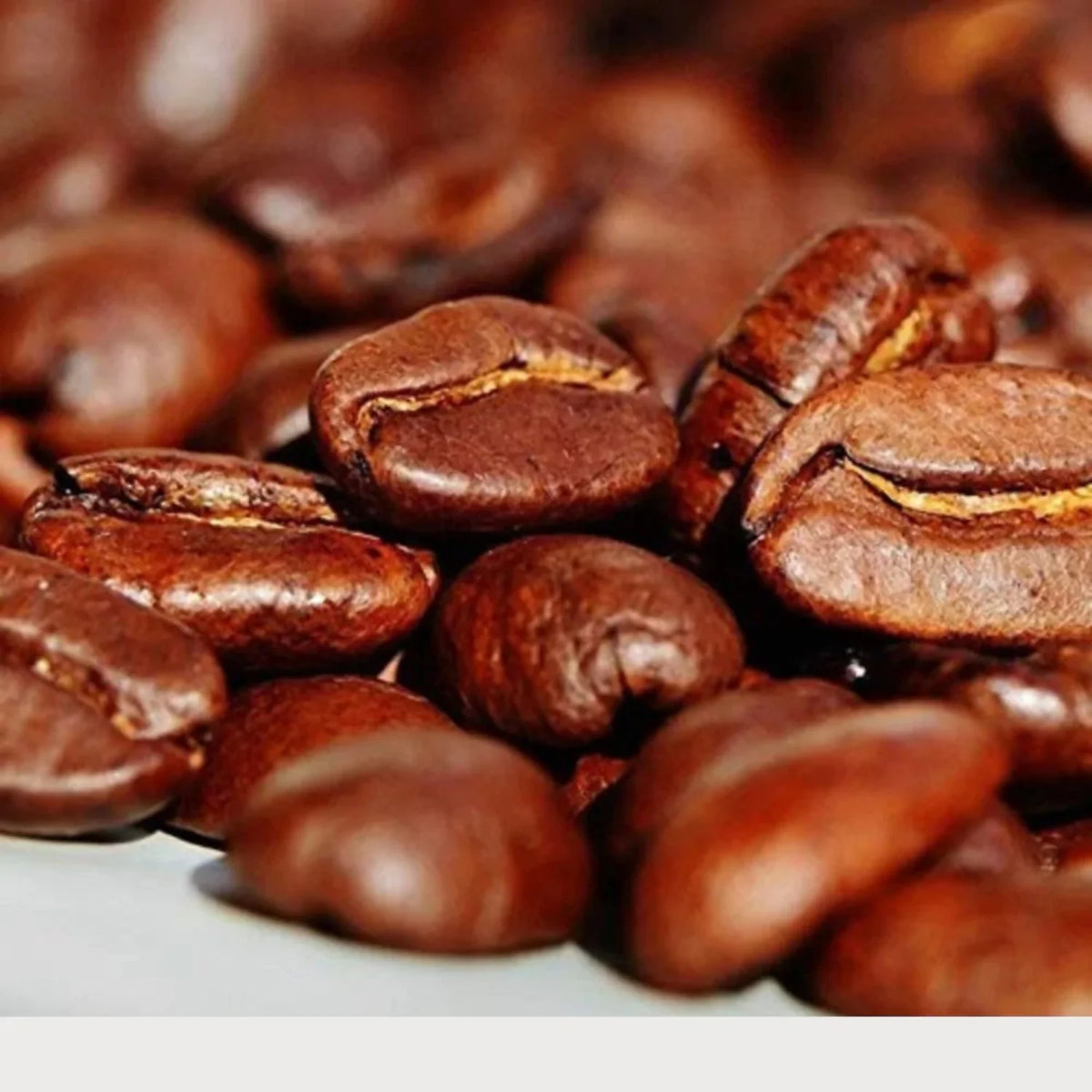 Medium Roast Robusta Arabica Whole Coffee Beans, 12 Ounce P15639