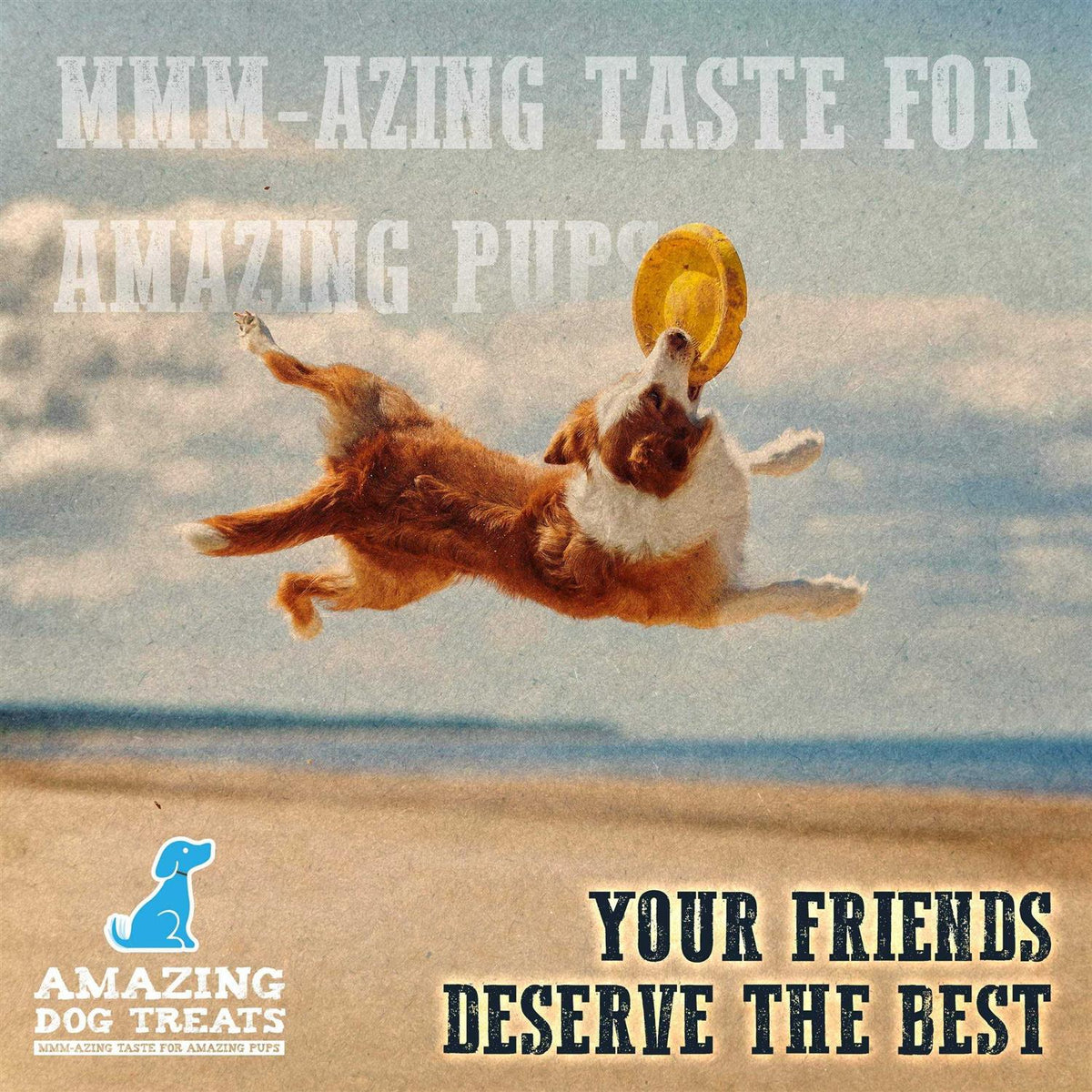 Chicken Feet Dog Treats Z9649