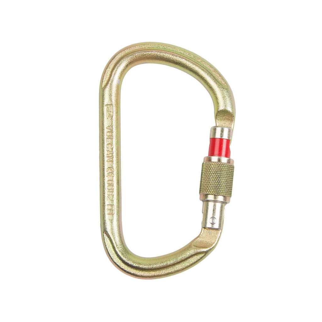 Screw Lock Carabiner I84920