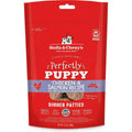 Freeze-Dried Raw Dog Food Salmon Patties M837970