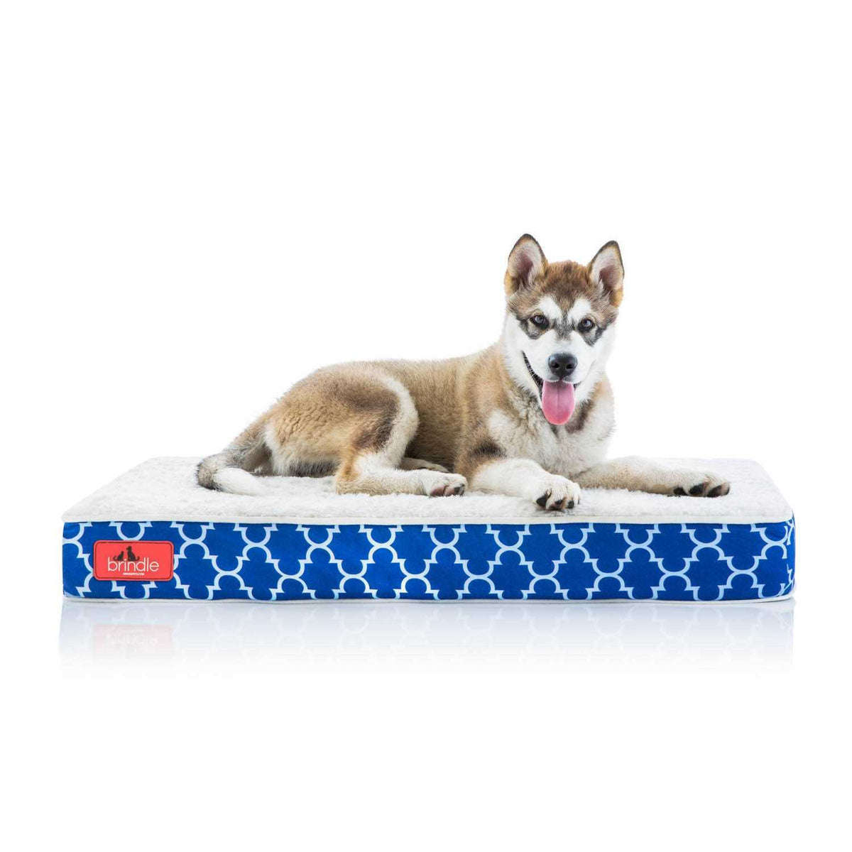 Waterproof Memory Foam Pet Bed N135