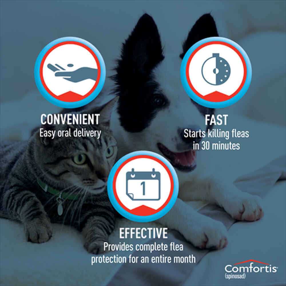 Chewable Tablets for Dogs & Cats A60913