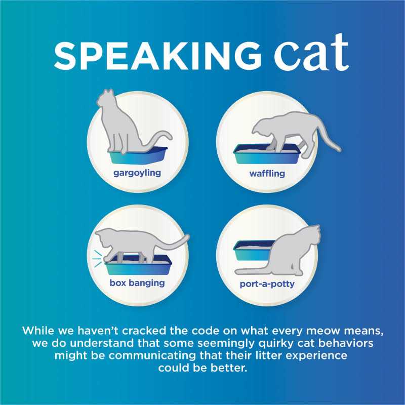Unscented Clumping Cat Litter S4358