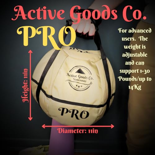 Kettlebell Sandbag I25818
