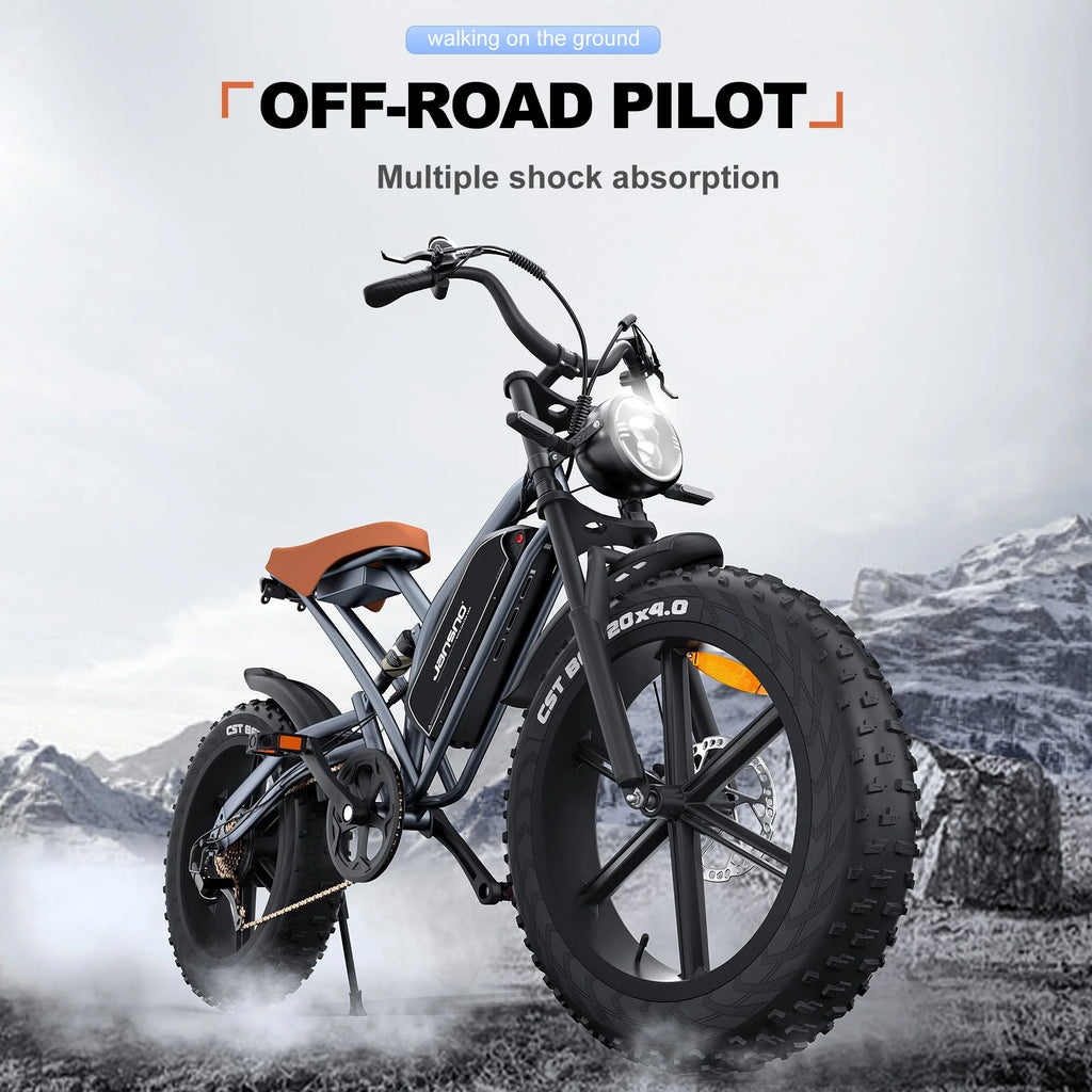 Fat Tire Electric Bike with 750W Motor 48V 14Ah Battery U397