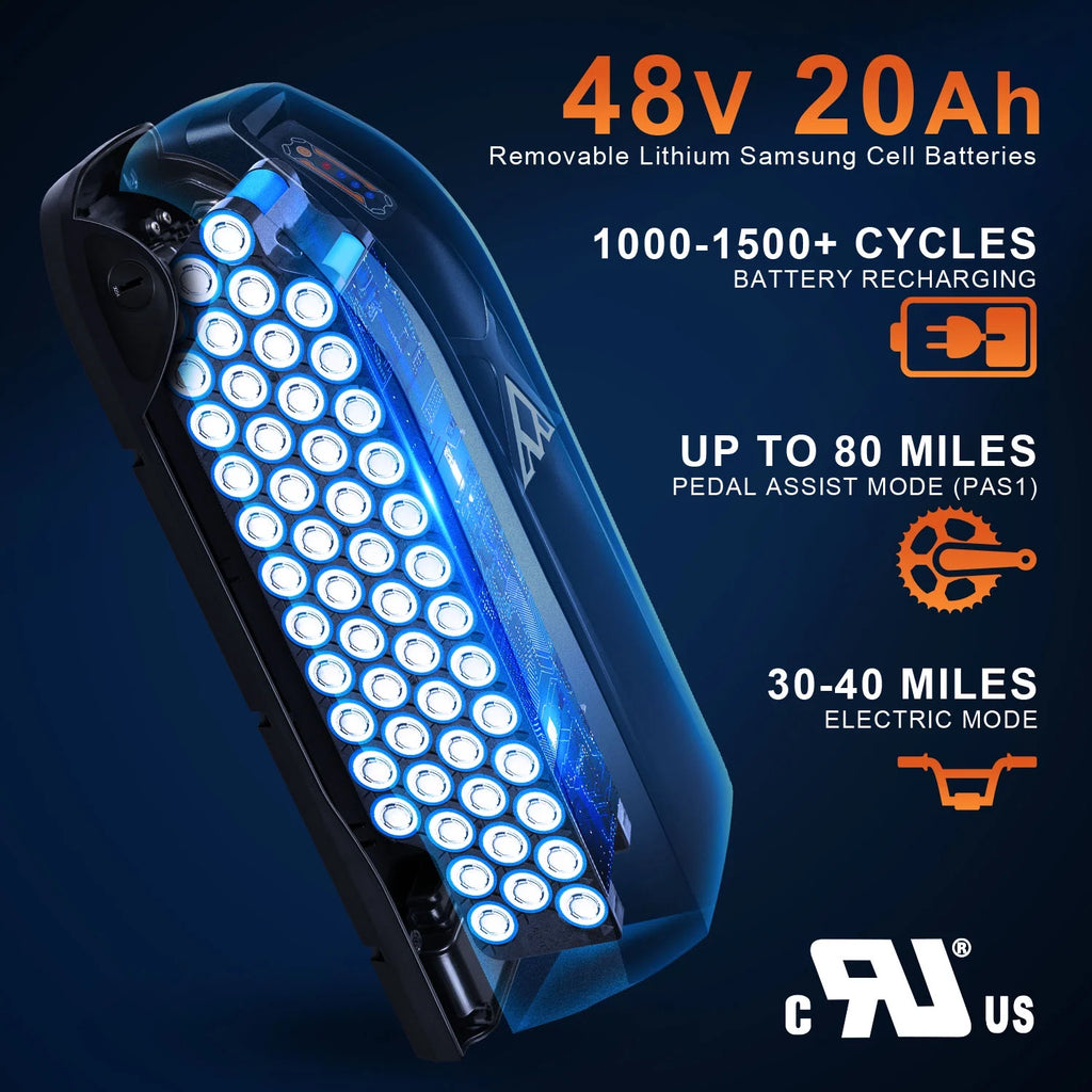 Fat Tire Step Through 750W 48V 20Ah Electric Bike T695