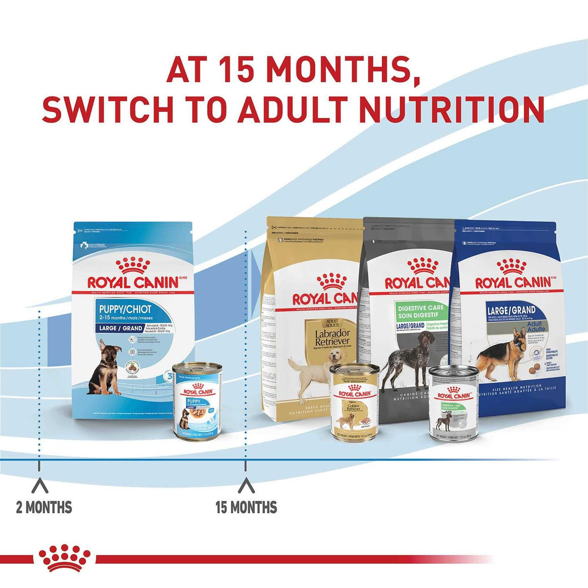 Wet Dog Food O92042