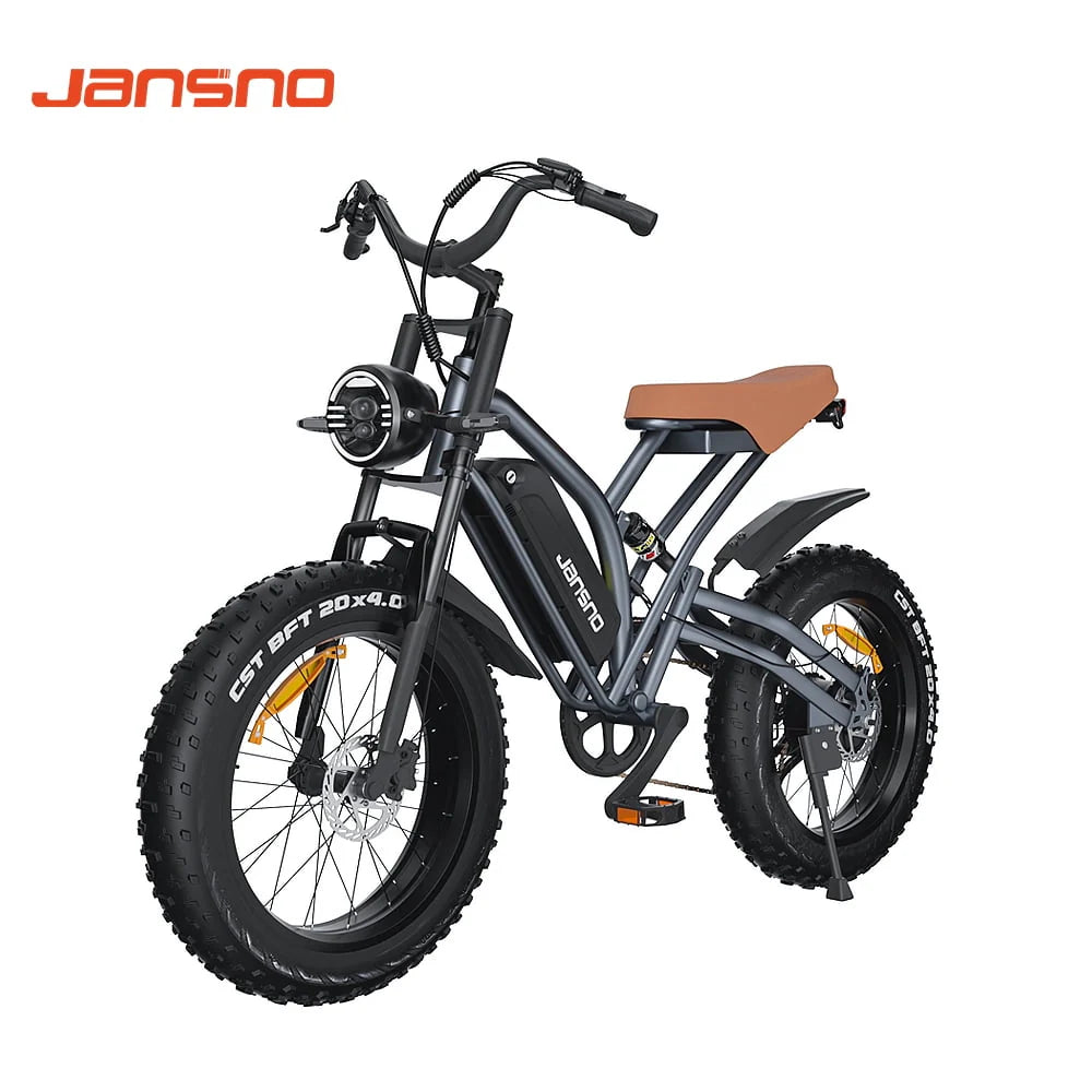 Fat Tire Electric Bike with 750W Motor 48V 14Ah Battery U397