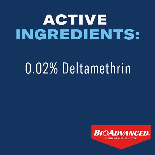 Carpenter Ant & Termite Killer Concentrate, 1 Gal T147