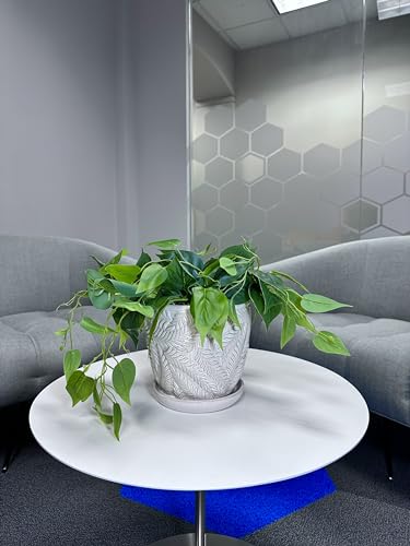 White 7 Inch Indoor Ceramic Planter Pot with Saucer and Drainage Hole U1025