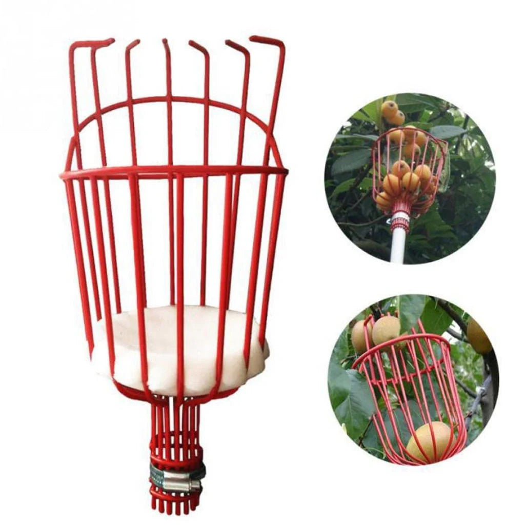 Fruit Harvester Basket with Cushion Z587