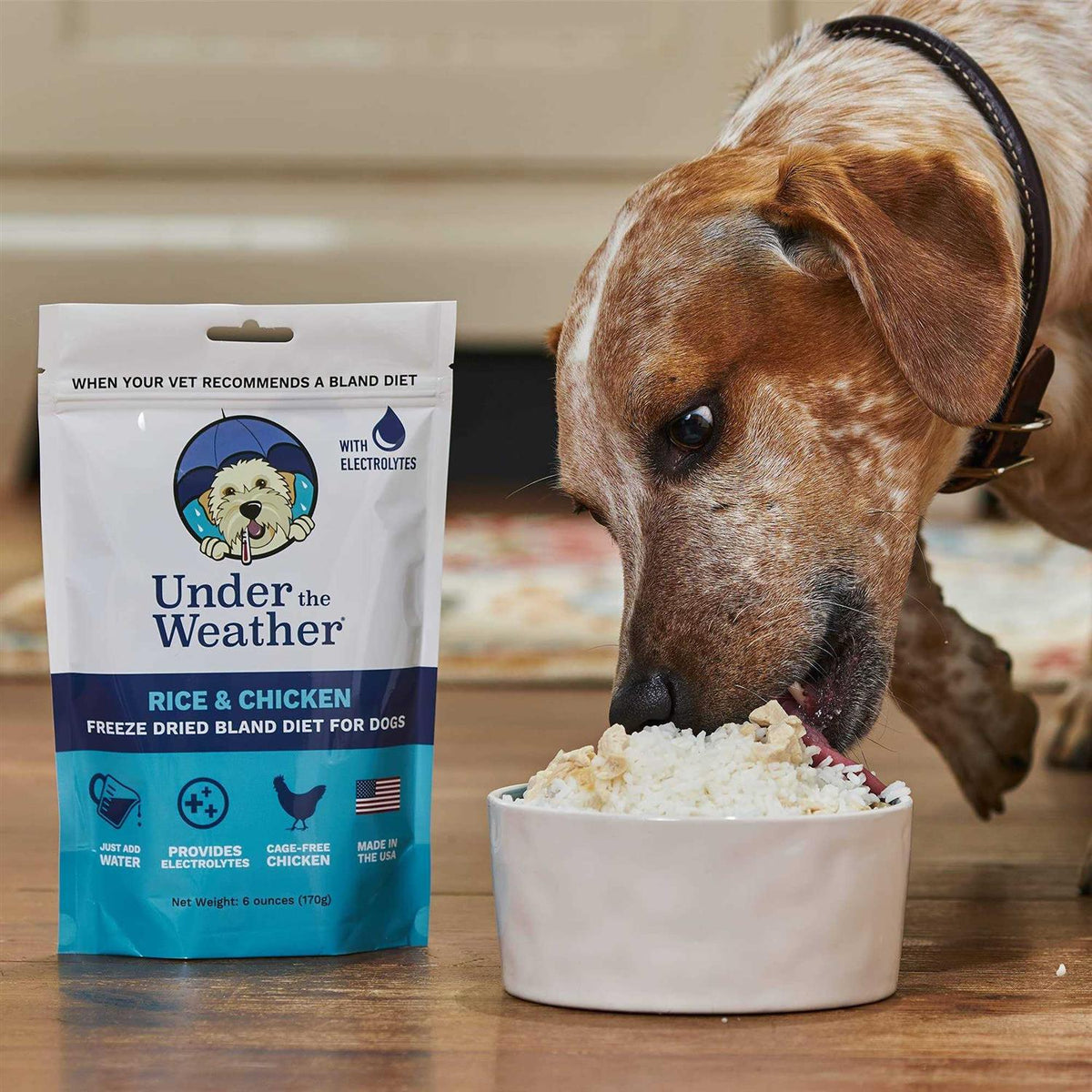 Chicken & Rice Bland Diet for Dogs H839