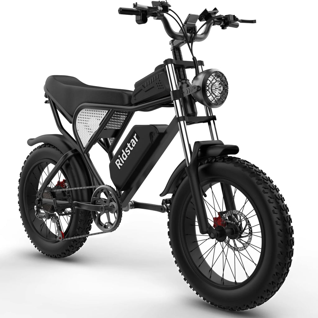 20 Fat Tire 1000W Electric Bike with Removable 48V/20Ah Battery C844280