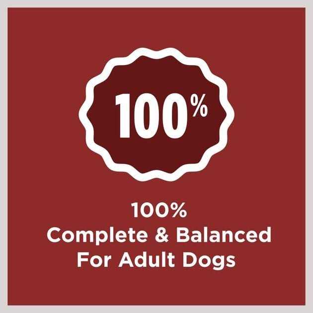 Adult Dry Dog Food Z945593