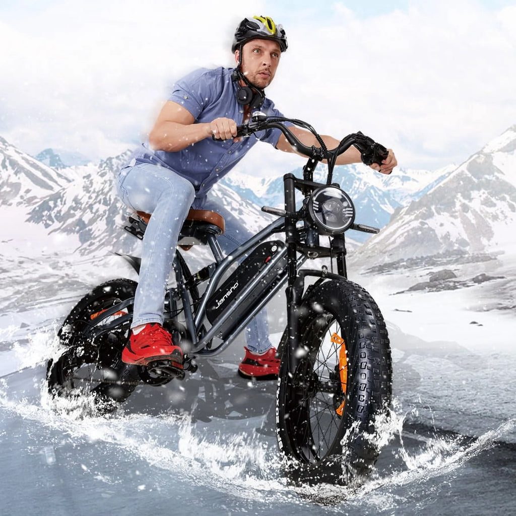 Fat Tire Electric Bike with 750W Motor 48V 14Ah Battery U397