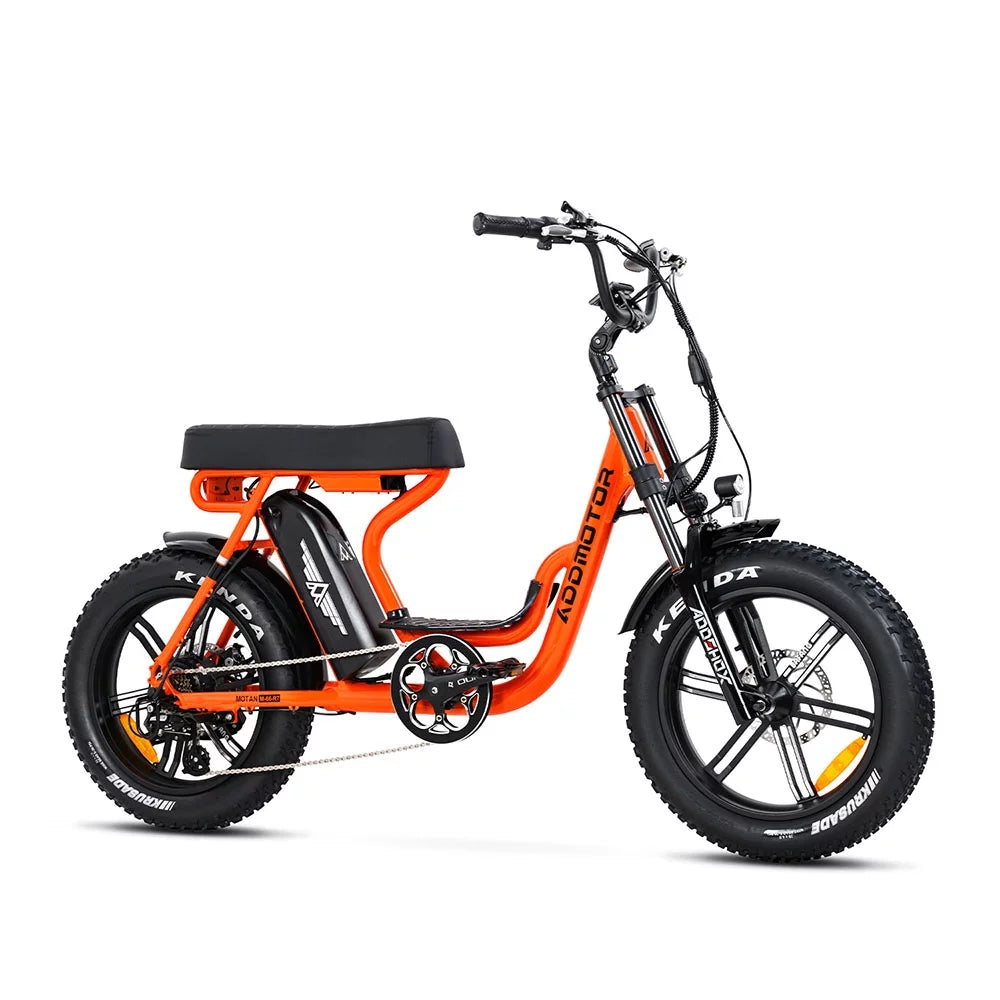Fat Tire Step Through 750W 48V 20Ah Electric Bike T695