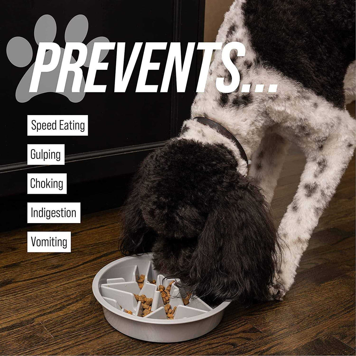Slow Feeder Dog Bowl J588364