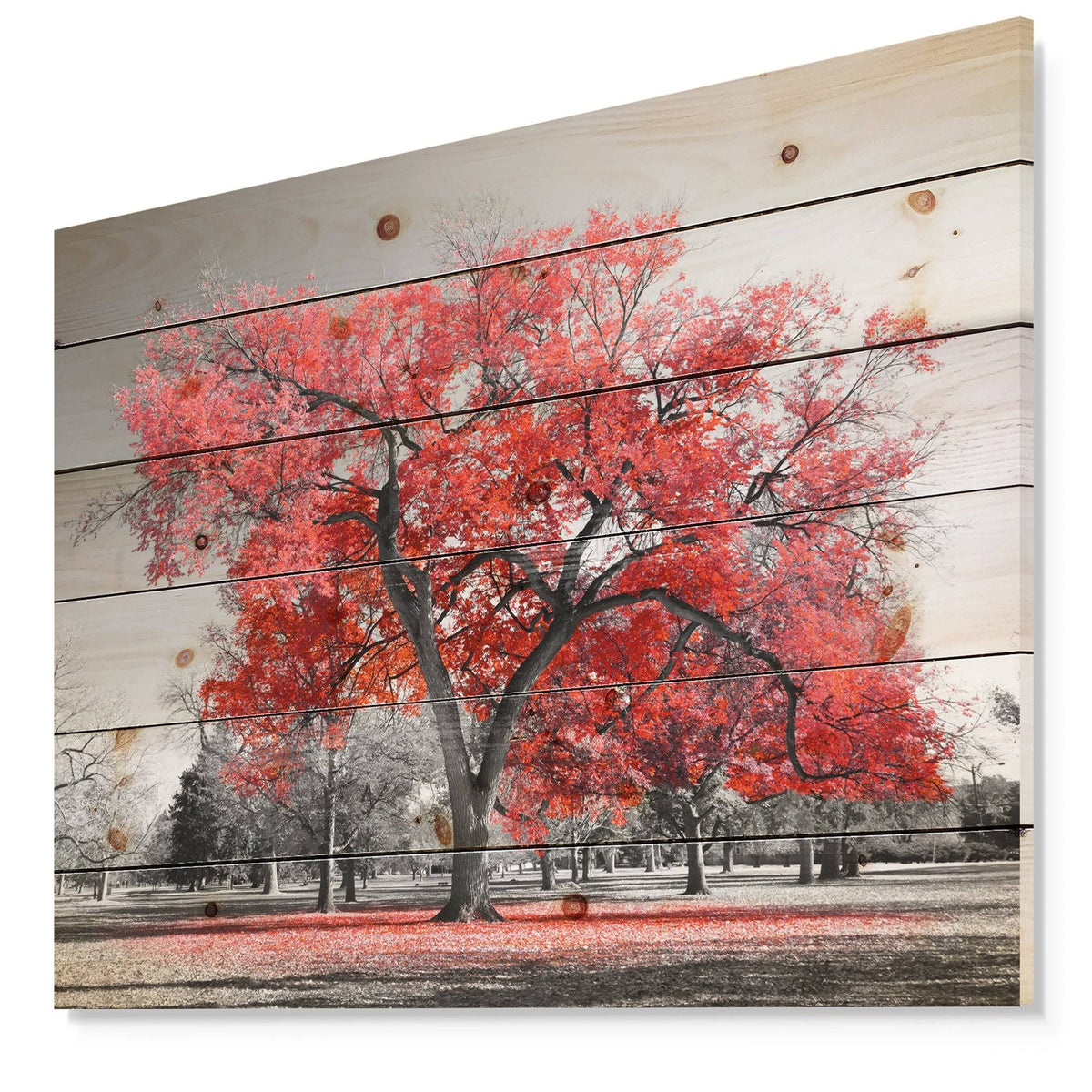 Natural Pine Wood Landscape Print - 40 in. Wide x 30 in. High B87445
