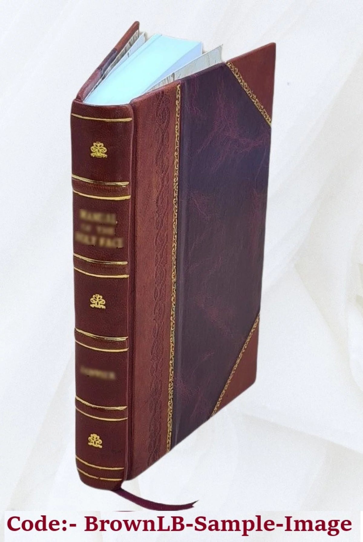 Vita del beato Toribio Alfonso Mogroboesio N613694