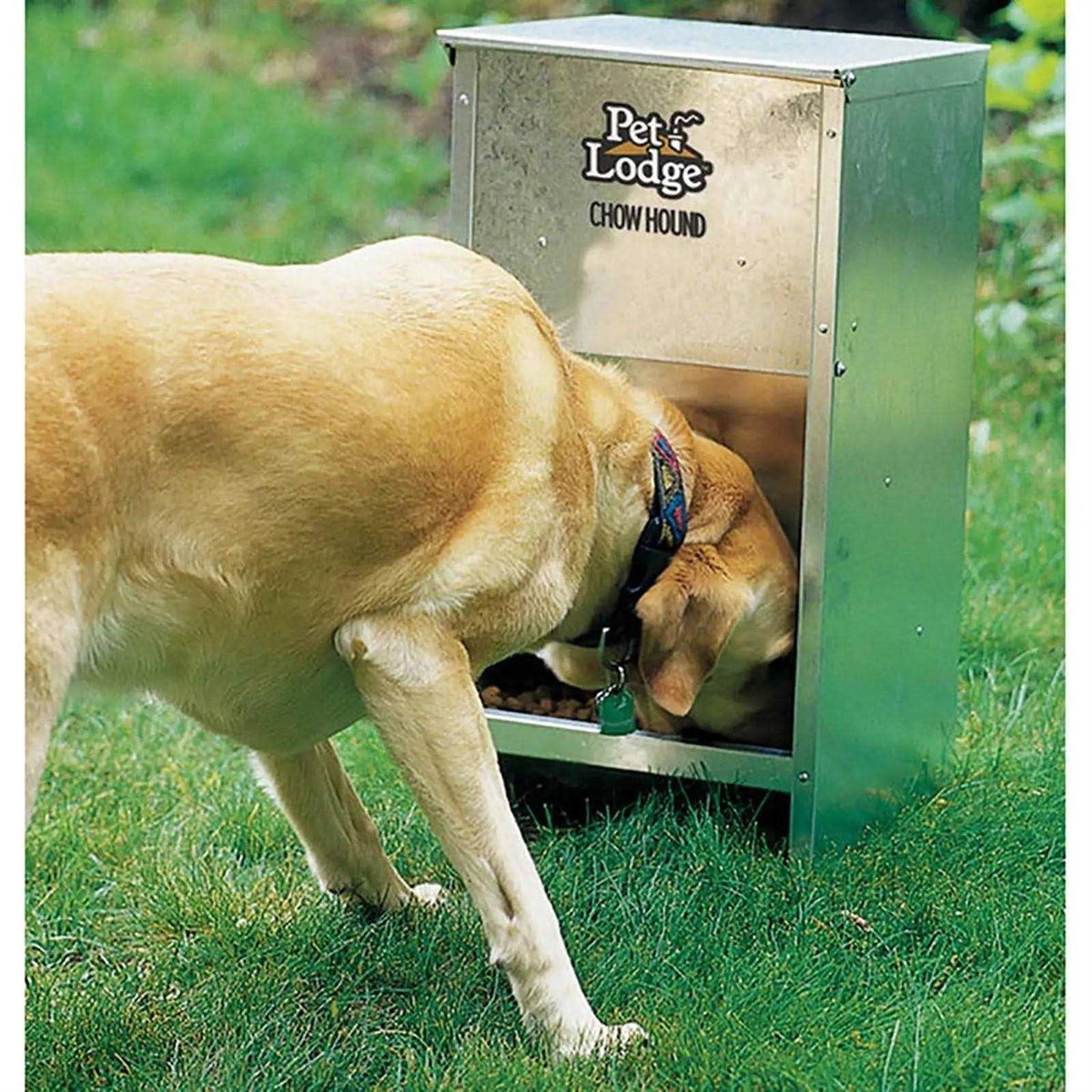 12 Pound Dog Feeder Y340363