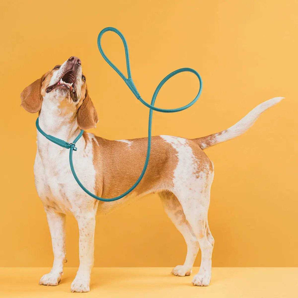Leather Round Slip Lead A33124