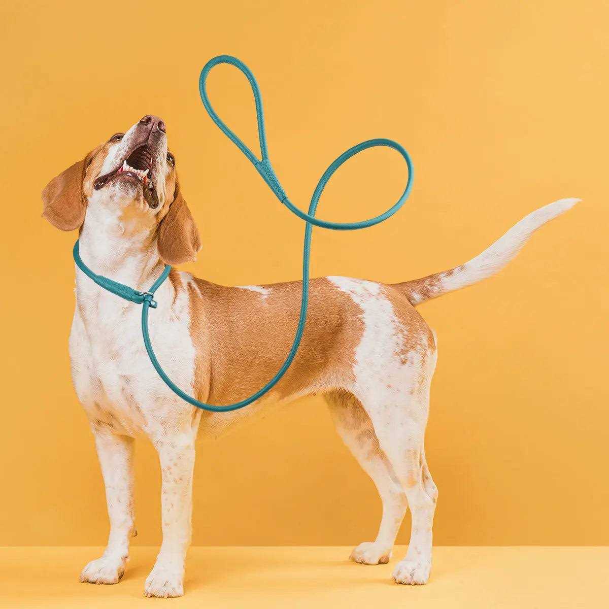 Leather Round Slip Lead A33124