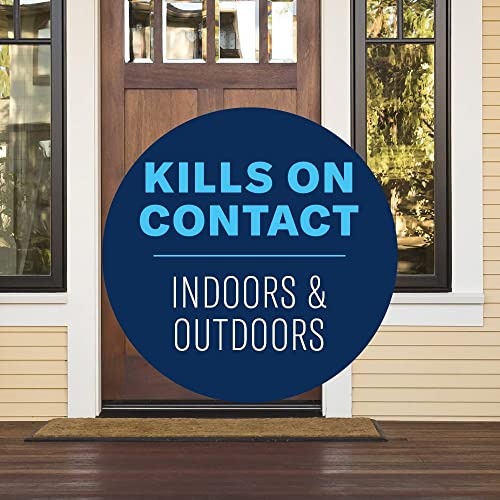 Carpenter Ant & Termite Killer Concentrate, 1 Gal T147