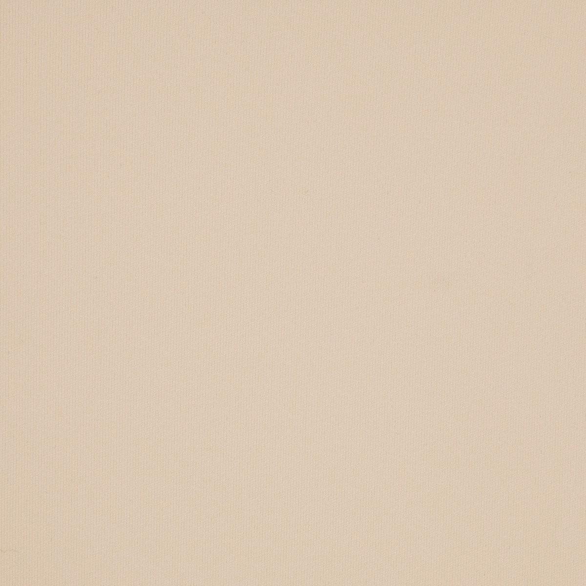 Micro Thong A119294