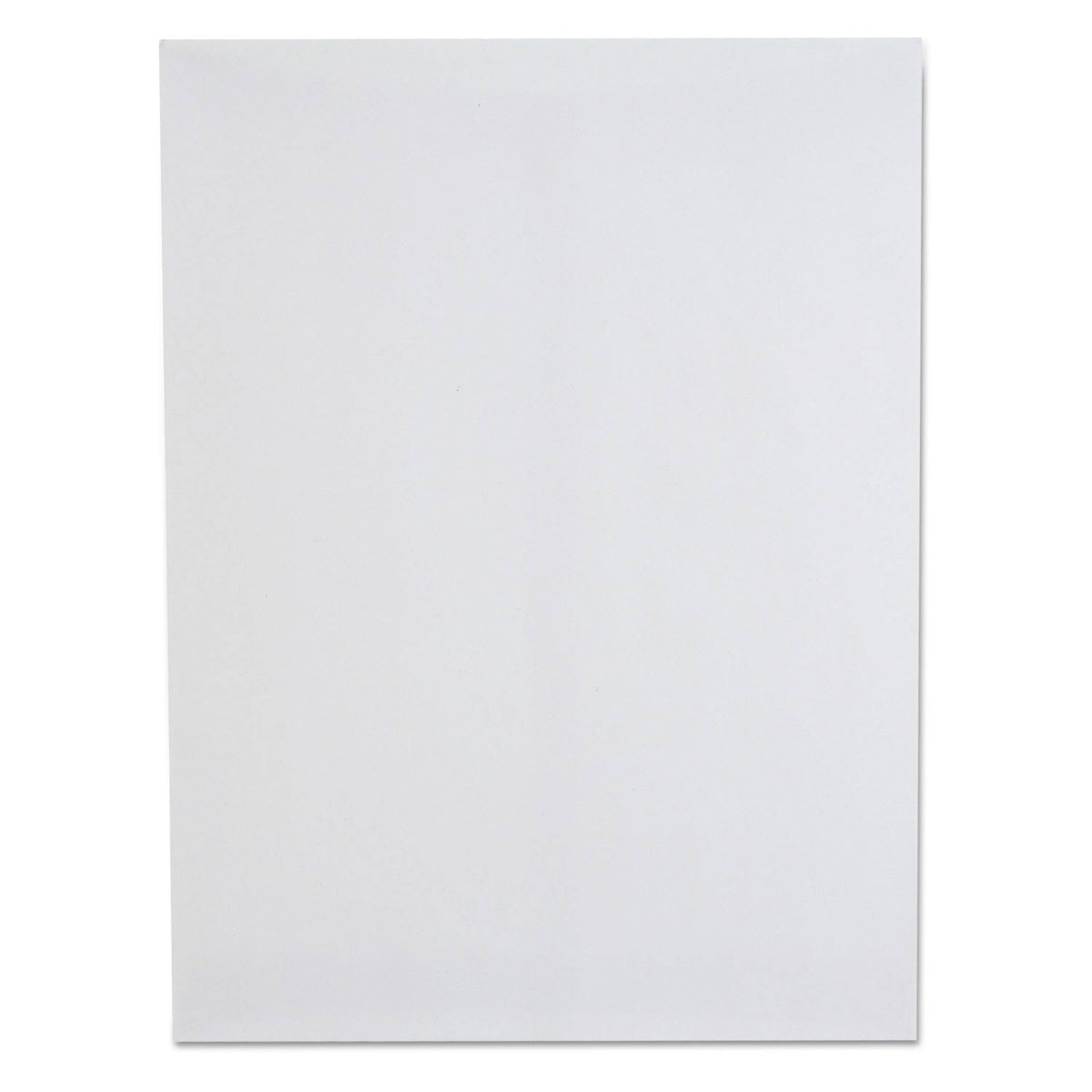 9 x 12 White Envelope 250 Box L421
