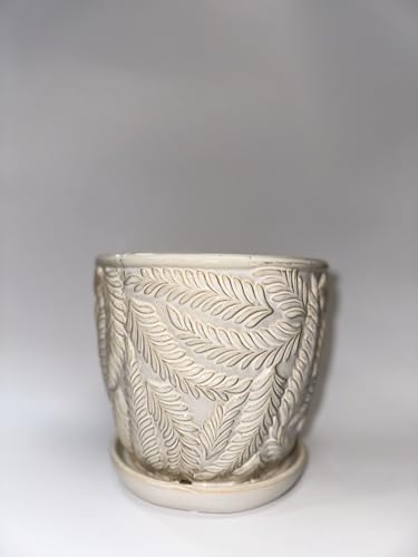 White 7 Inch Indoor Ceramic Planter Pot with Saucer and Drainage Hole U1025