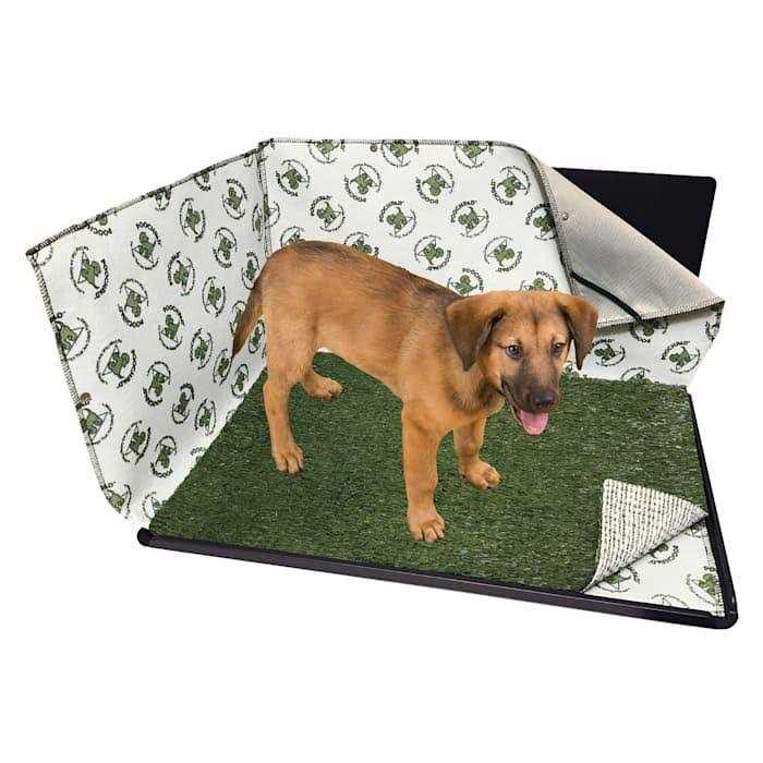 Indoor Dog Potty F691873