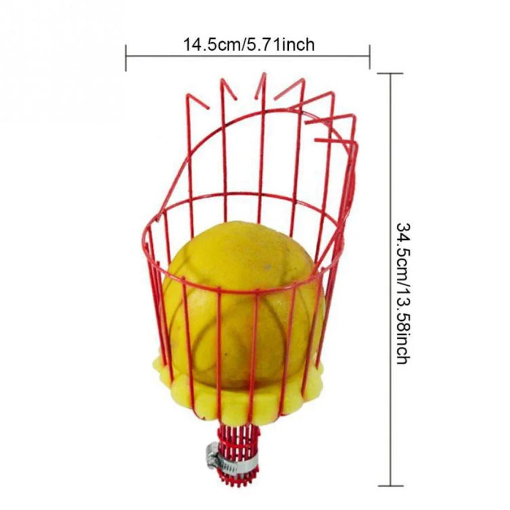 Fruit Harvester Basket with Cushion Z587