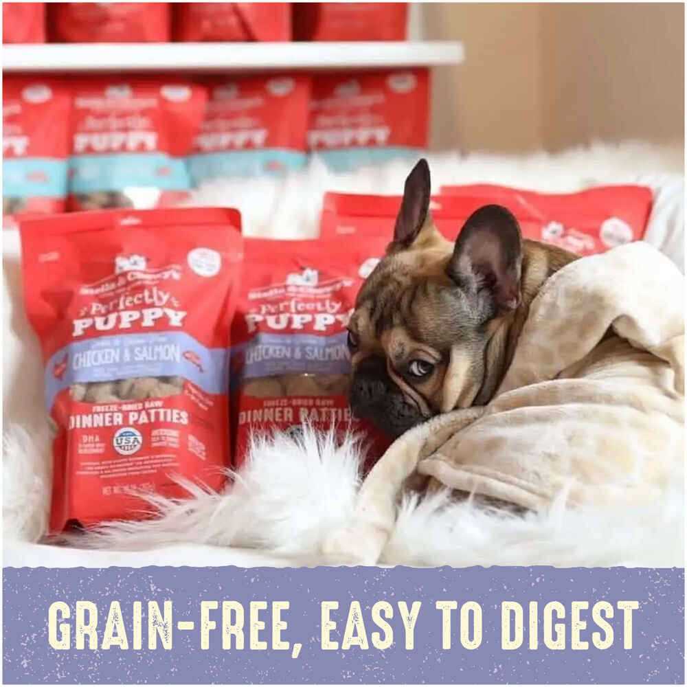 Freeze-Dried Raw Dog Food Salmon Patties M837970