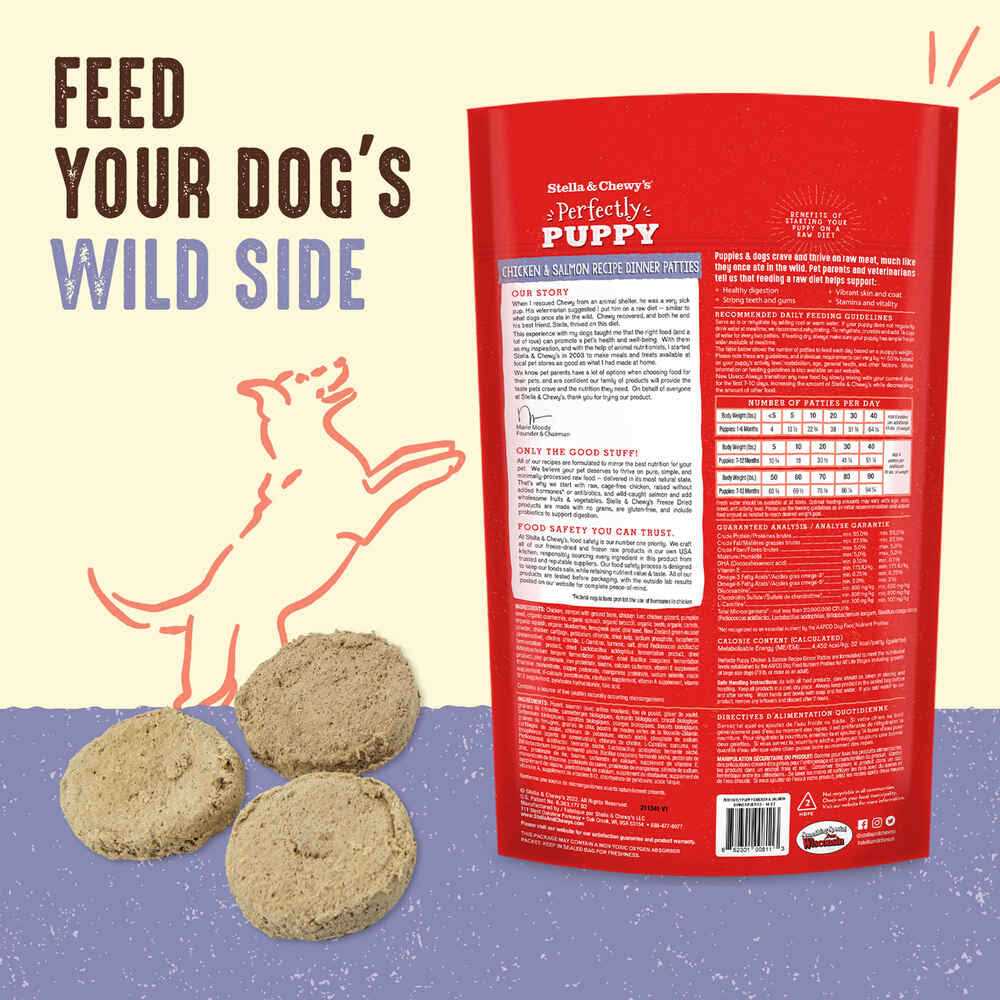 Freeze-Dried Raw Dog Food Salmon Patties M837970