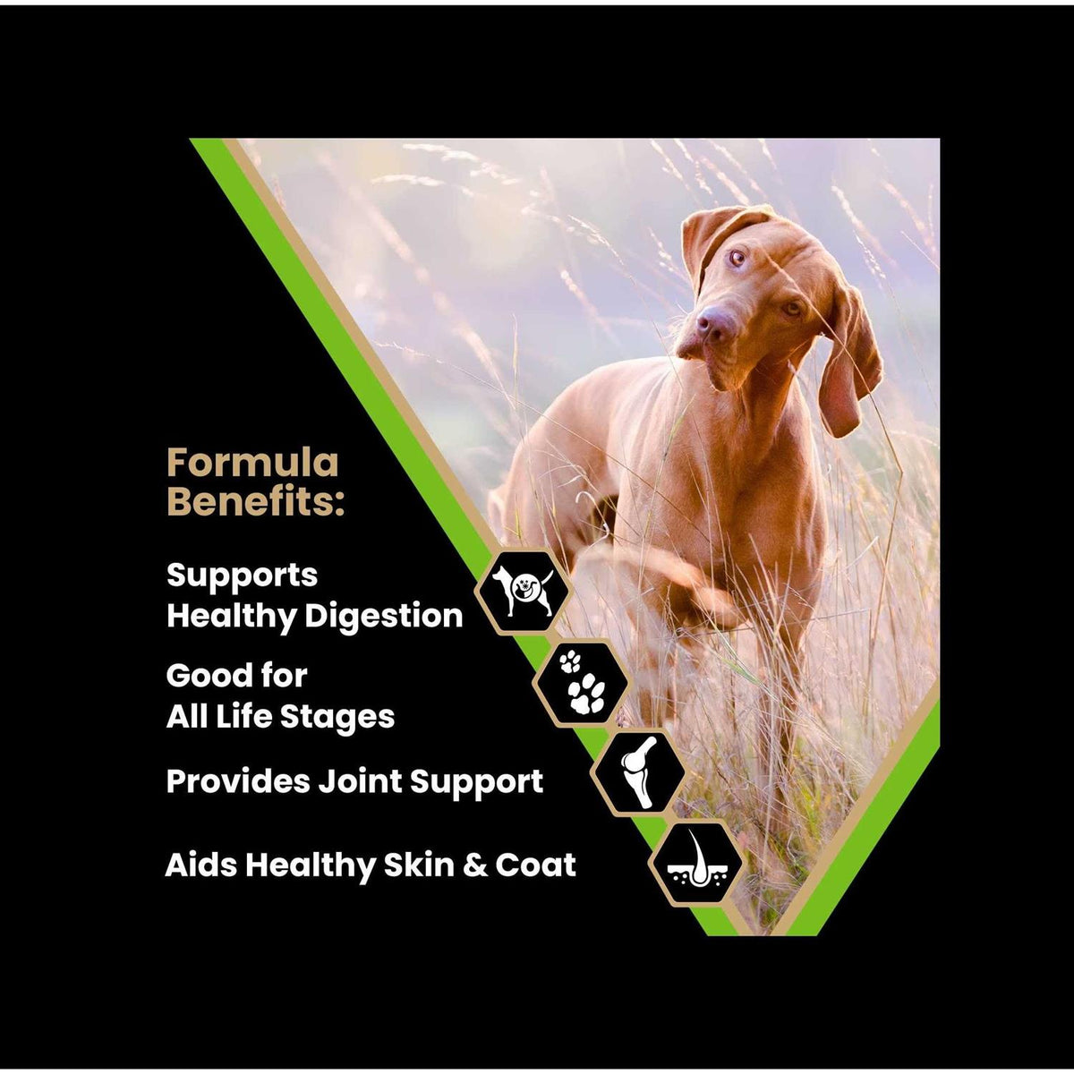Dry Dog Food G3095