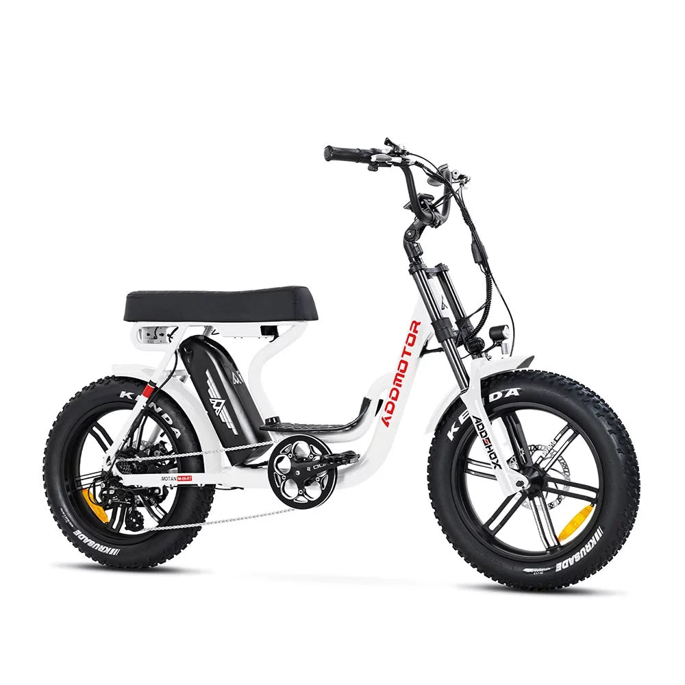 Fat Tire Step Through 750W 48V 20Ah Electric Bike T695