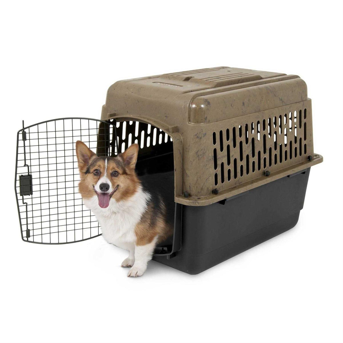 Kennel T209